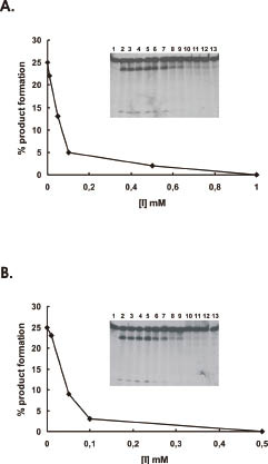 2419Fig5.pdf