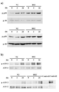 2498Fig3.tif