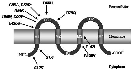 2560fig4.pdf