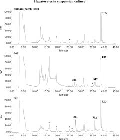 2574fig1.tif