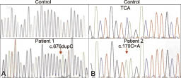 2699fig2.tif