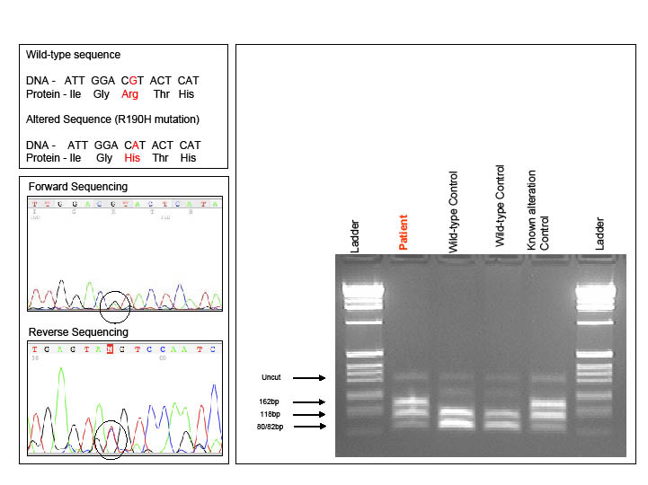 2725fig2.pdf