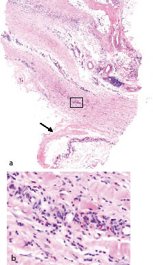 2787fig2.pdf