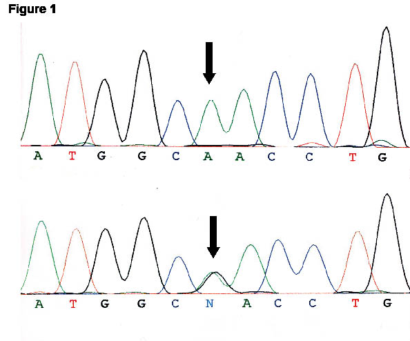 2809fig1.pdf