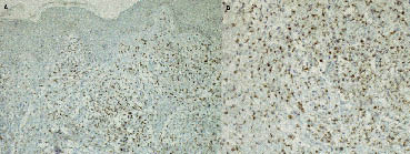 2896fig3.tif