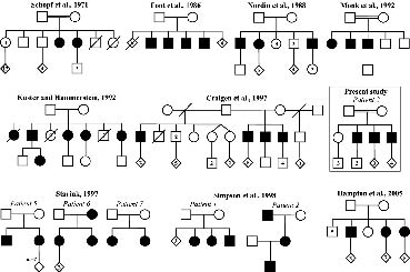 2913fig4.tif