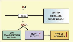 2978fig1.tif