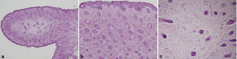 2983fig2.tif