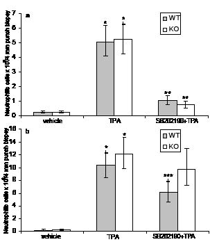 3387Fig3.pdf