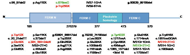 3405Fig2.pdf