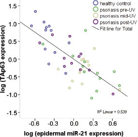 3427fig3.tif