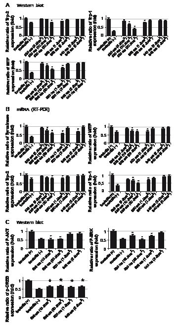 3650Fig3.pdf