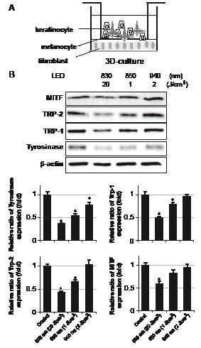 3650Fig4.pdf