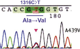 3653fig2.tif