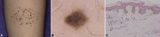 3758fig2.tif