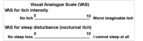 knus cement Forfalske Verbalizing Extremes of the Visual Analogue Scale for Pruritus: A Consensus  Statement | HTML | Acta Dermato-Venereologica