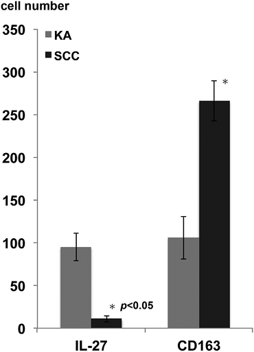 3916Fig3.tif