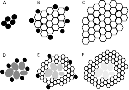 3949Fig1.tif