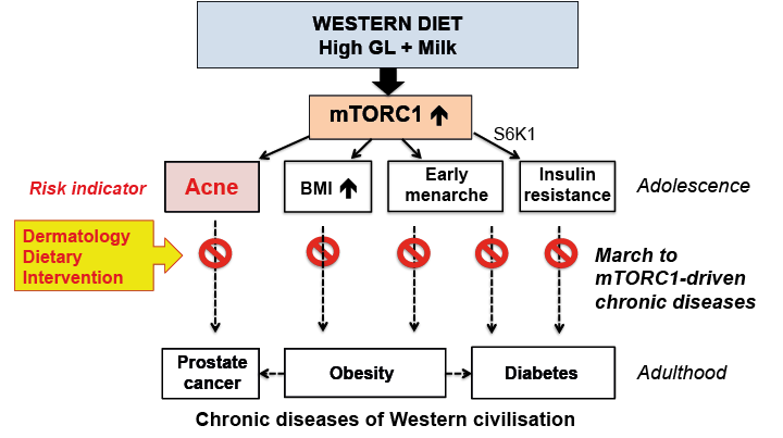 https://www.medicaljournals.se/acta/content_files/files/web/4008-web-resources/image/8500.png