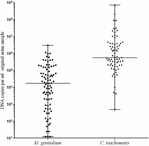 ureaplasma mycoplasma condilom