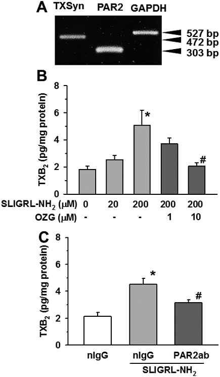 4724fig5.tif