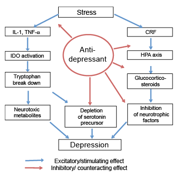 Antidepressant Selection Chart