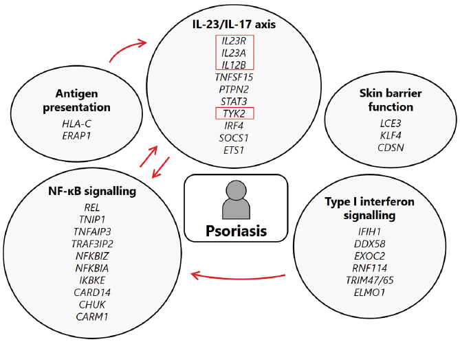 is psoriasis: a dominant or recessive gene