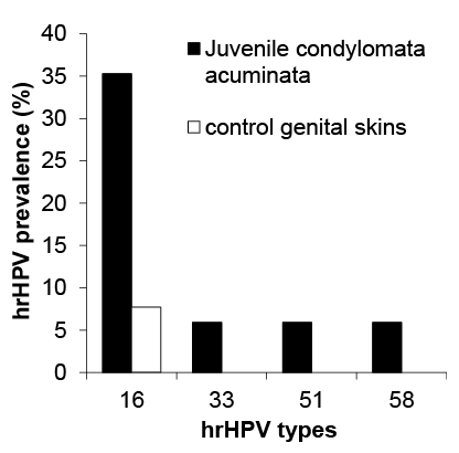 human papillomavirus vs condyloma acuminata