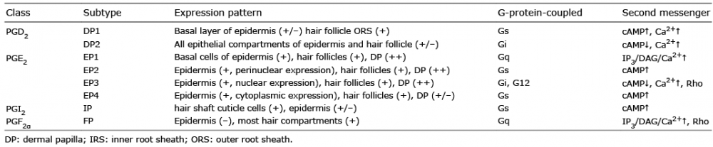 Prostanoids and Hair Follicles: Implications for Therapy of Hair Disorders  | HTML | Acta Dermato-Venereologica