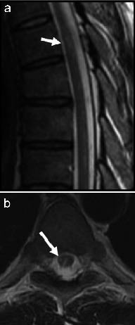 1026fig1.tif