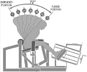 1343fig2