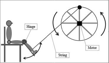 1562fig1