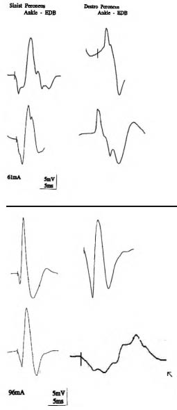 1628Fig1.tif