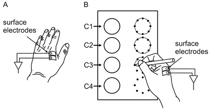 1662Fig2.tif