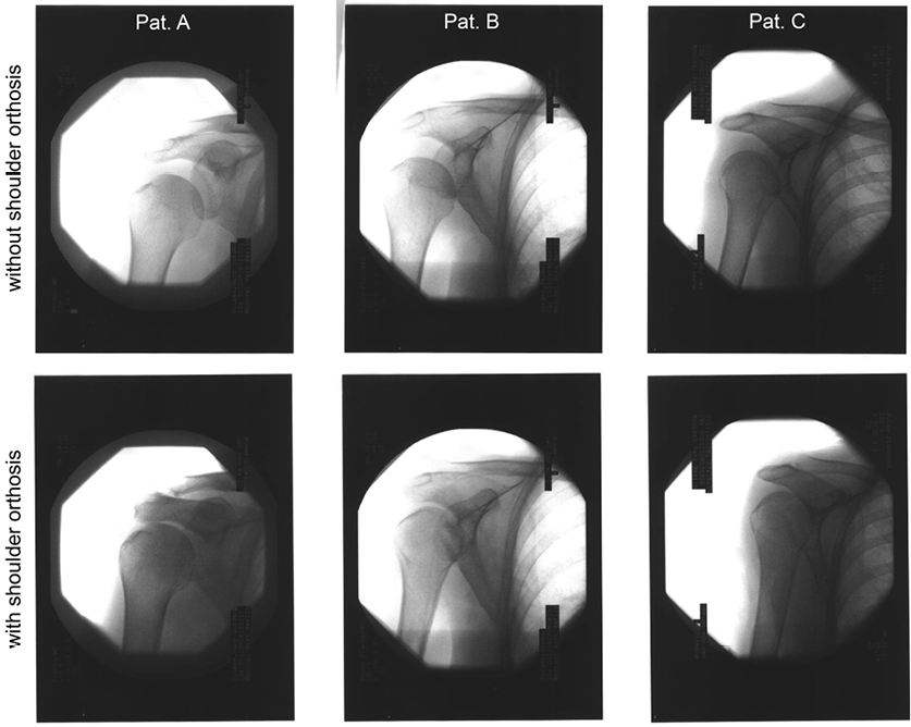 1771fig3.tif