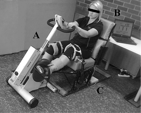 Modified neuromuscular electrical stimulation system can track the