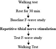 12738.png