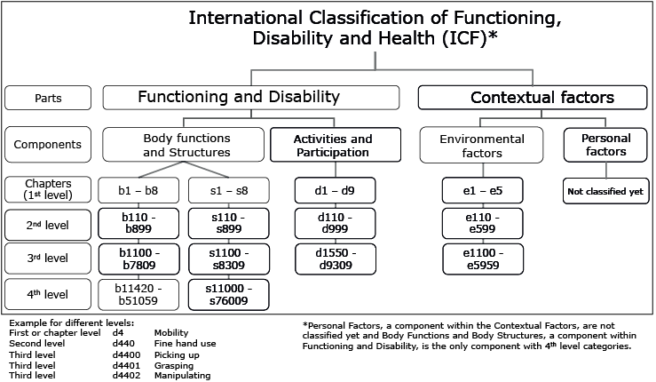 International classification of functioning, Disability and Health. International classification. Классификация ICF. МКФ ICF. Levels of functioning