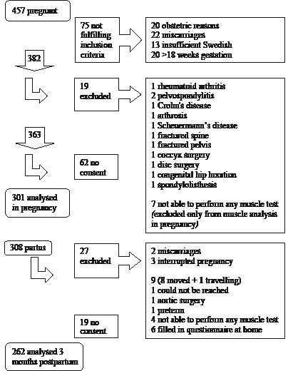 923fig1.pdf