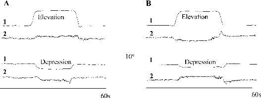 941fig3.tif