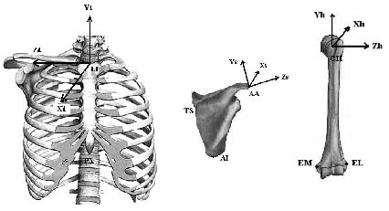 950fig1.tif