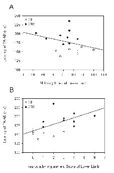 965fig4.tif