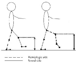 978fig4.tif